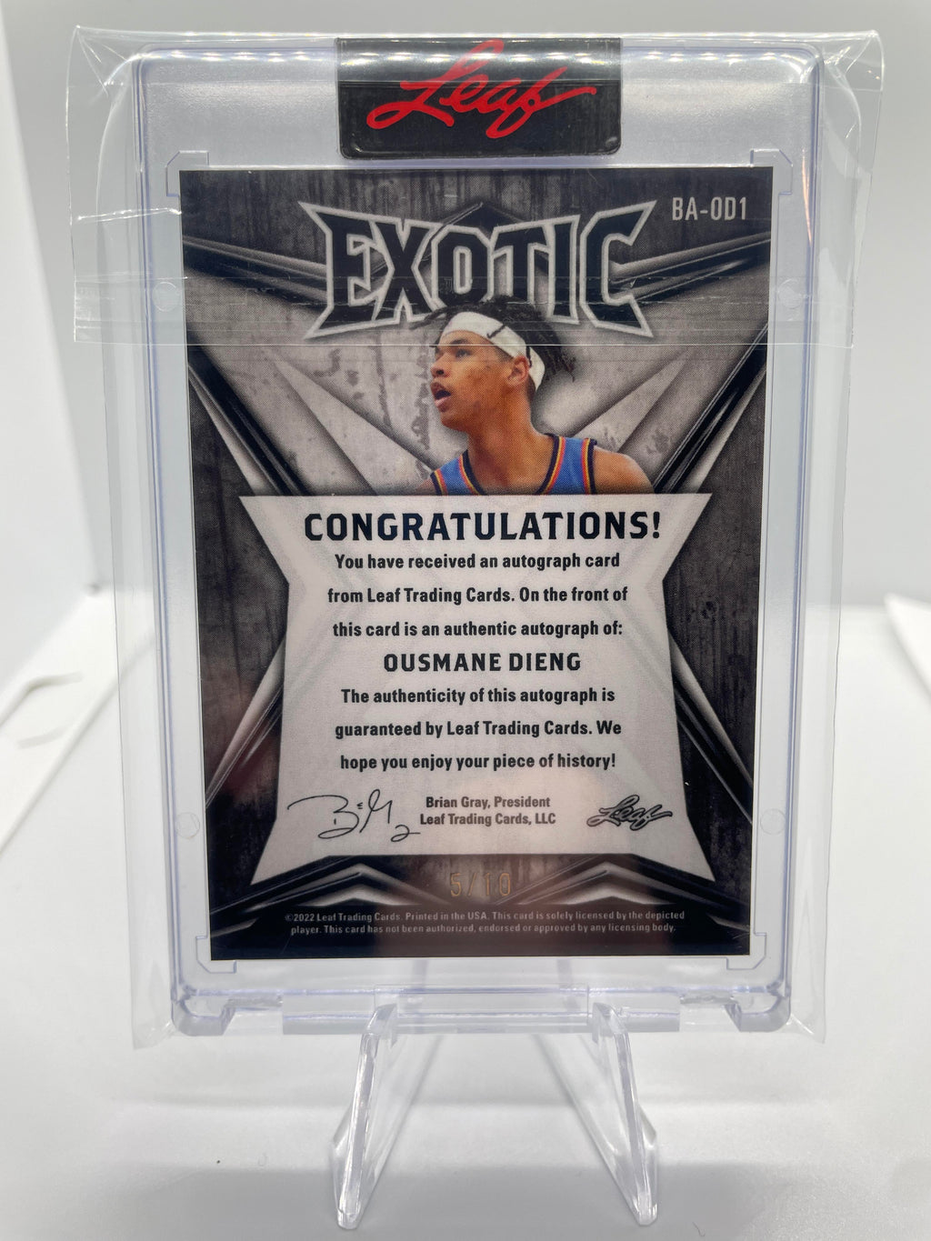 2022-23 Leaf Exotic Ousmane Dieng Snakeskin Rookie Auto /10