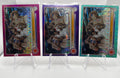 2022-23 Topps McDonald's Chrome Whole Squad Pink /150 Aqua /199 Purple /299